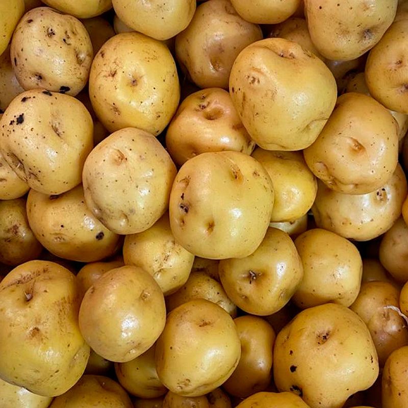 PAPA CRIOLLA DE MI TIERRA 500g ( Premium Quality )